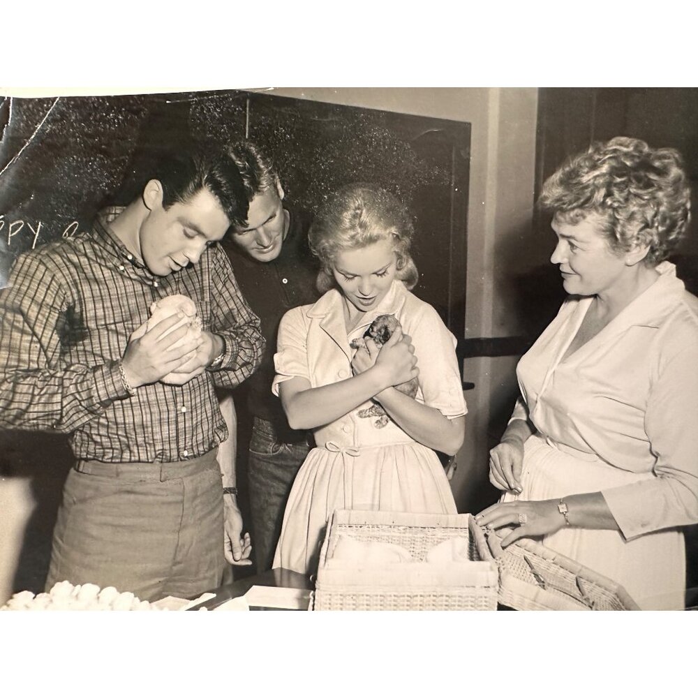 Tuesday Weld 16th Birthday Vintage Glossy Press Photo With Puppies & Basket